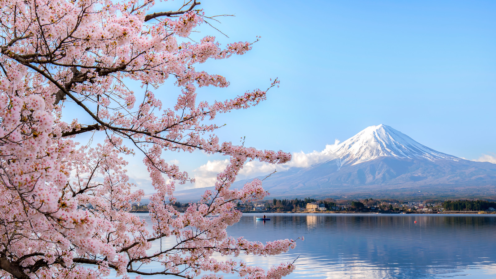 美しき日本の自然the beautiful japan JAPAN -Beautiful Landscapes : Japan's Soul- 美しい日本 ~四季
